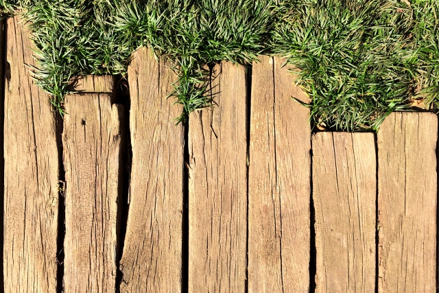 Wood and grass